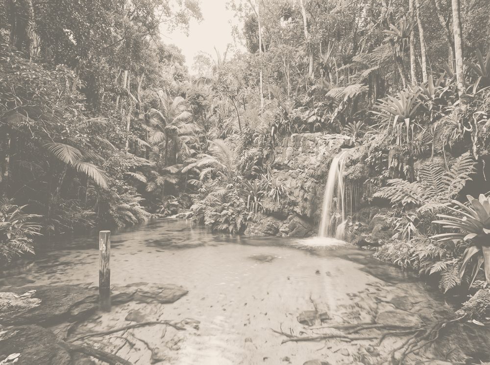 Duotone photograph of a tropical spring and pool for Bacardi