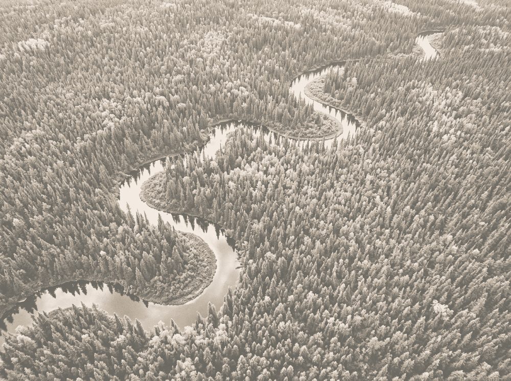 Duotone photograph of a vast boreal forest from above for TD Bank